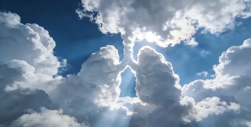 景德镇肺癌12基因ctDNA突变检测(血液）图片1