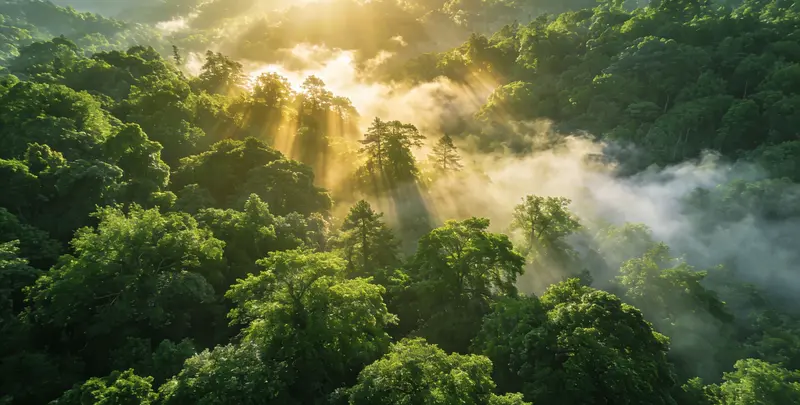 景德镇肺癌甲基化检测图片1