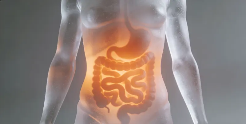 景德镇食管癌甲基化检测图片1